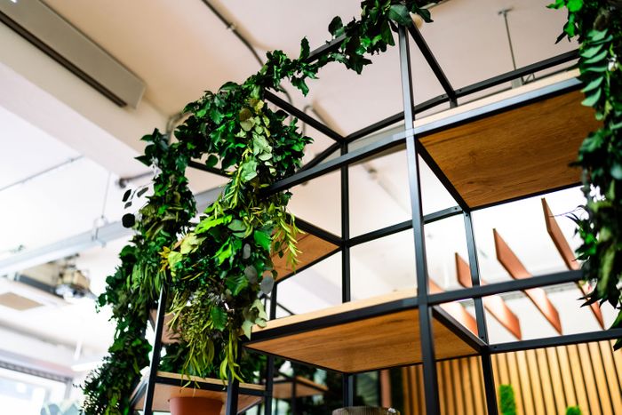 Plexus Décor