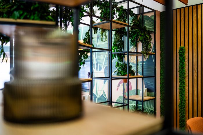 Plexus Décor
