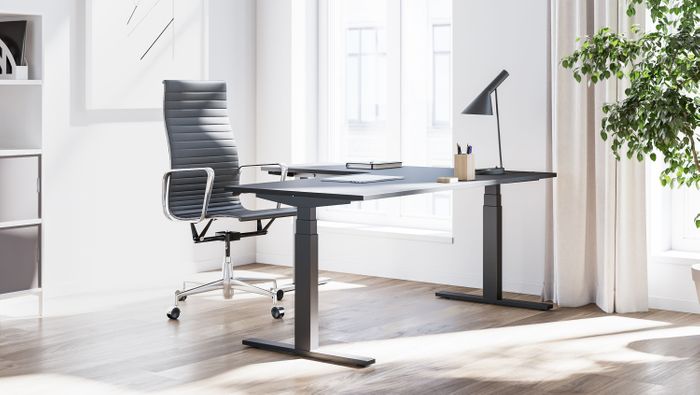 Sit Stand Desks