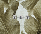 Perception CFX