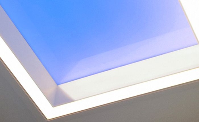 NatureConnect skylight