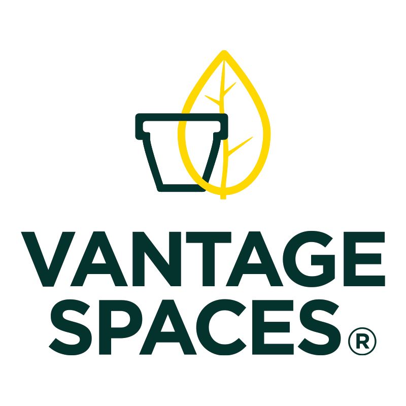 Vantage Spaces