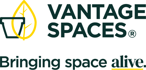 Vantage Spaces