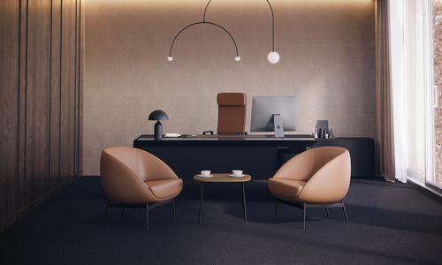 Comfort has been given a shape, and its name is Mollen