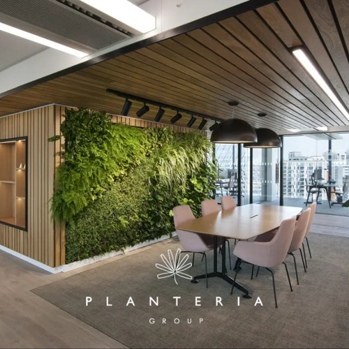 Discover the Power of Biophilic Design