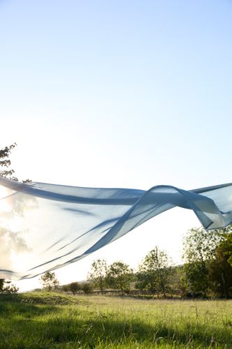 Rooted in well-being