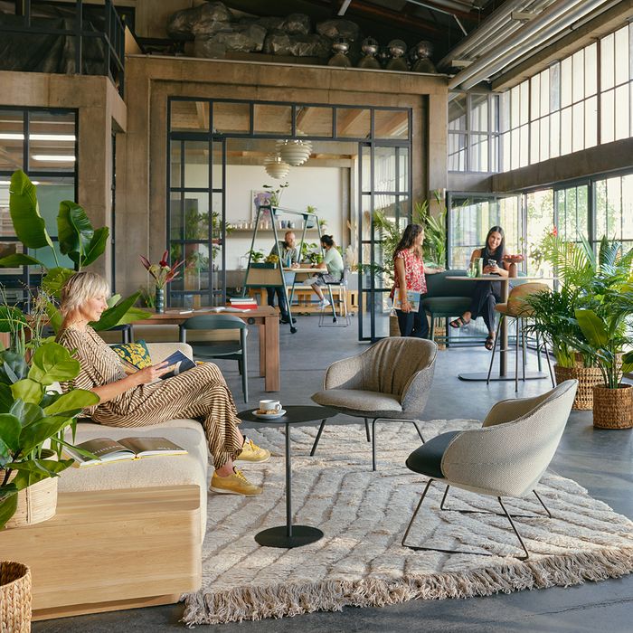 The four archtypes of the Work Café