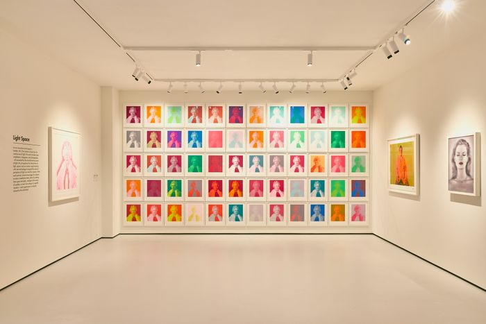 Multi-Track Lighting Range