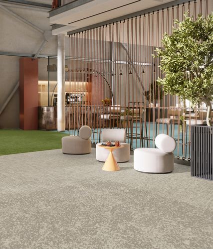 balance collection®