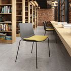 Catifa Carta 53 and 46