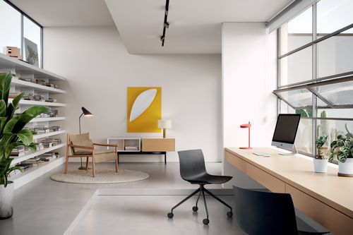 Catifa Carta 53 and 46