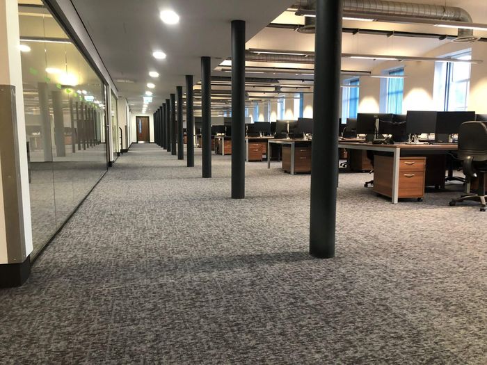 Hornbeam - from the Elemental collection