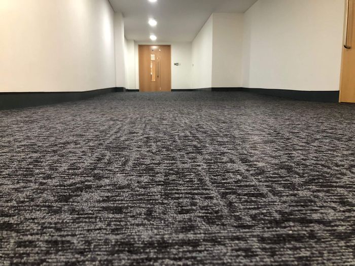 Hornbeam - from the Elemental collection