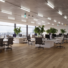 Robinson Wide Plank | Karta Recycled Leather Series