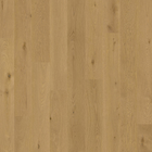 Apian Wide Plank | Karta Recycled Leather Series