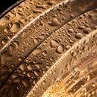 Bulkhead Outdoor & Bathroom Round Wall Light