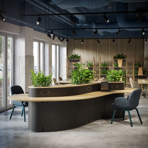 Basis - Touchdown Table