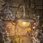 Hayle Outdoor & Bathroom Wall Light - Brass