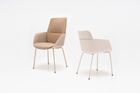 Senda conference chair