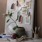 Shorelines Paint Collection