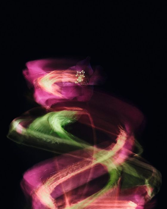 Twisted Flower