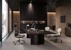 NEW Ray Exec