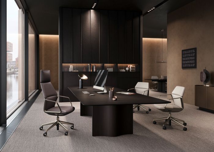NEW Ray Exec