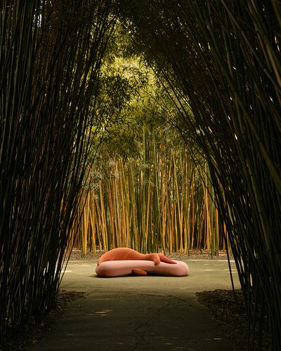 Preview | Loop, design by Elena Salomistraro