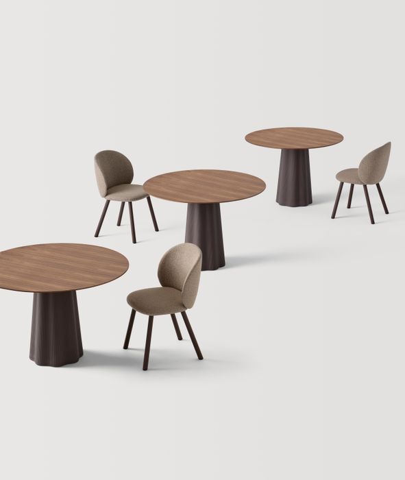 BINAR 55 Collection