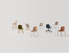 OSWELL Collection