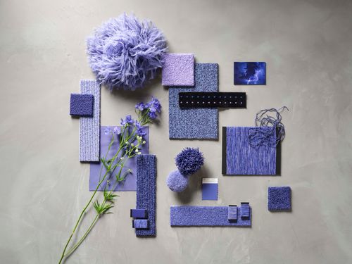 Catch the Color, monthly inspiration