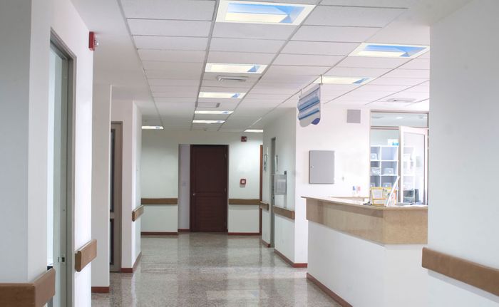 NatureConnect skylight