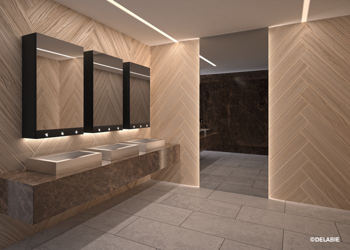 DELABIE's 4-in-1 Mirror Cabinet