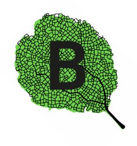 Alvar Aalto Design Seminar