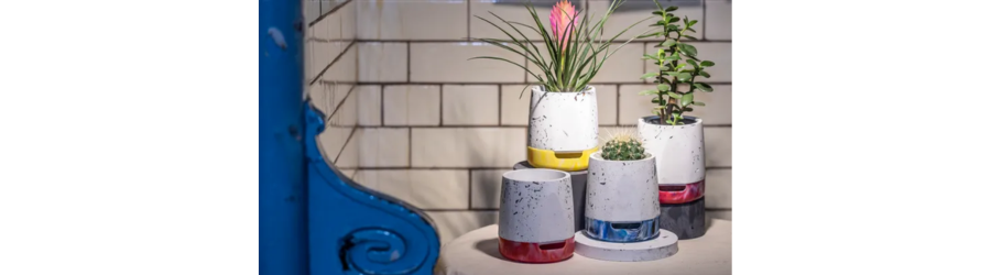 Green Grads - The FLOD Collective