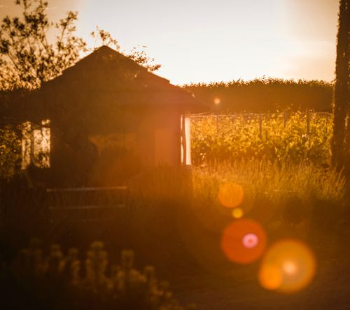 Why Nature is Good for Us