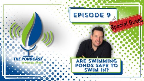 Safe Swimming Ponds
