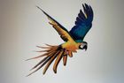 Parrot Mural for Kids’ Bedroom