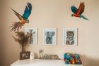 Parrot Mural for Kids’ Bedroom