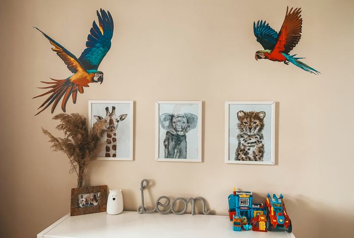 Parrot Mural for Kids’ Bedroom