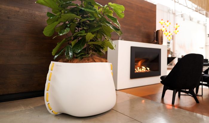 Planters