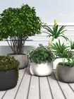 Planters