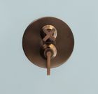 Brass and bronze taps