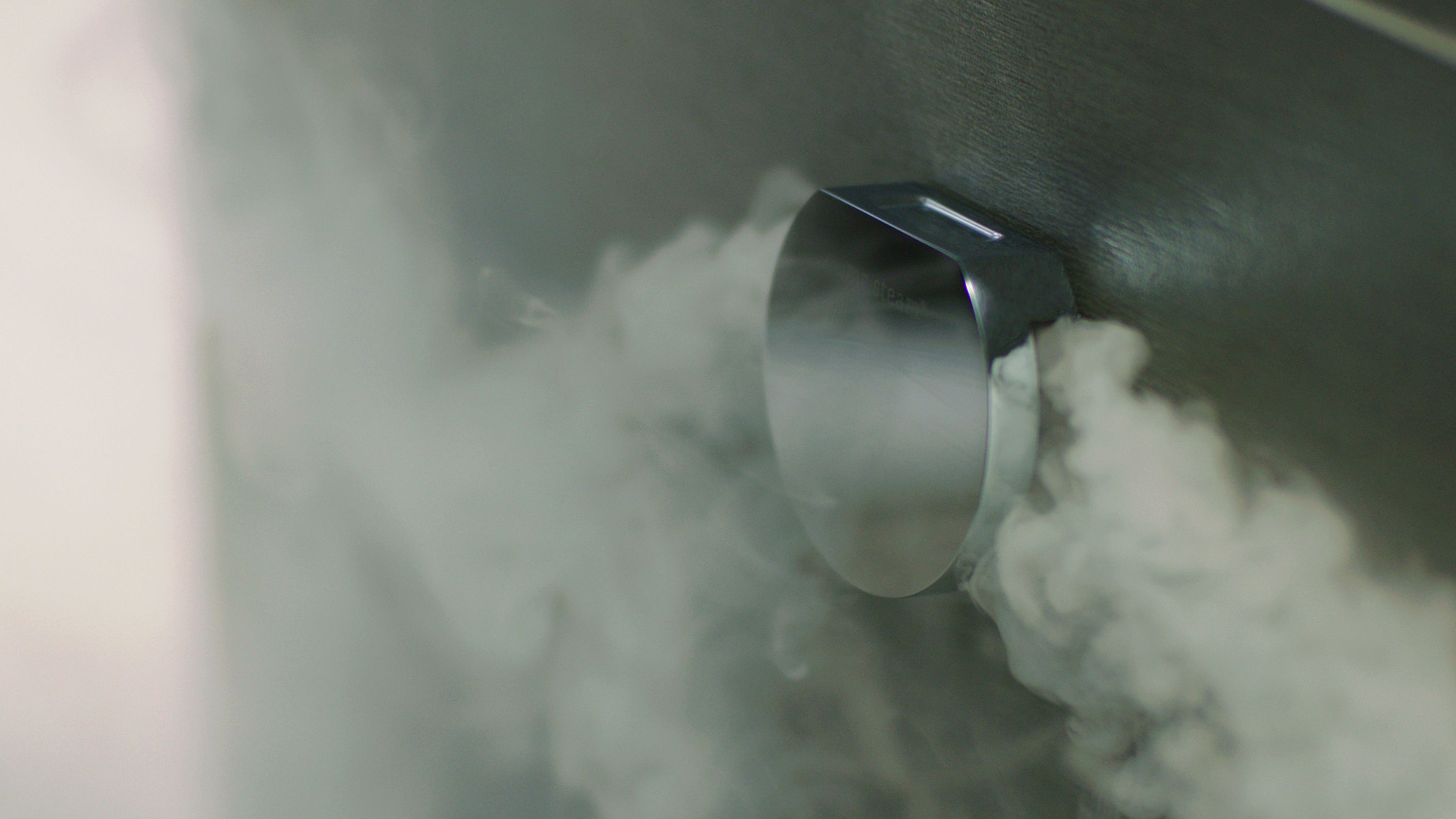 Mr. Steam