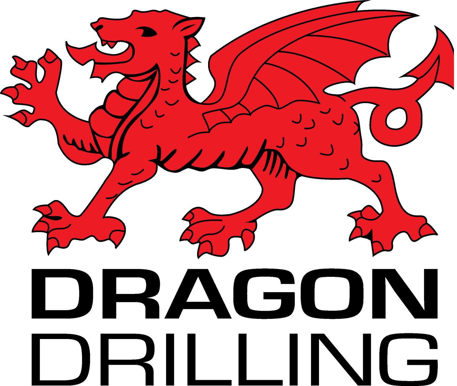 Dragon Drilling Water (Ltd)