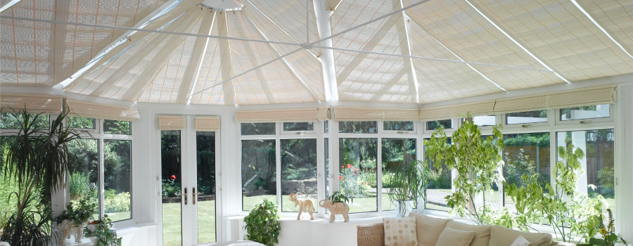 The Appeal Group Limited