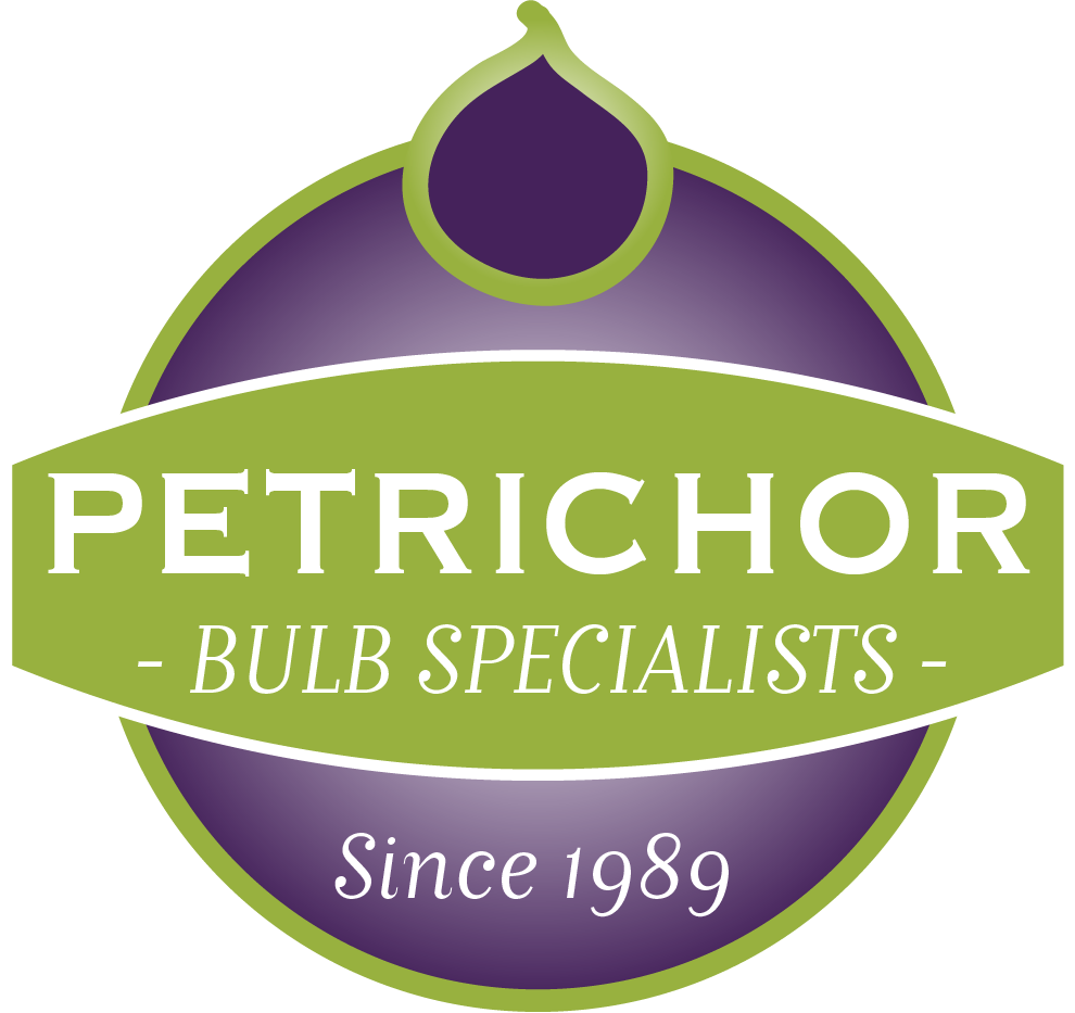 Petrichor Bulb Specialist
