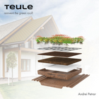 Teule - Andrei Petrar