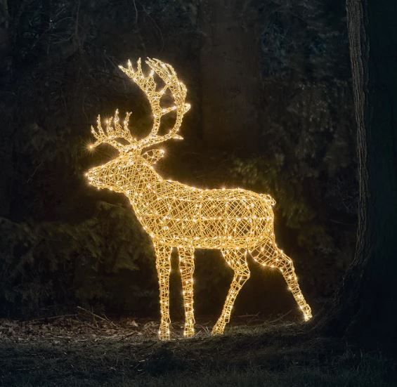 stag