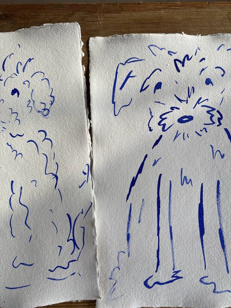 dog pics